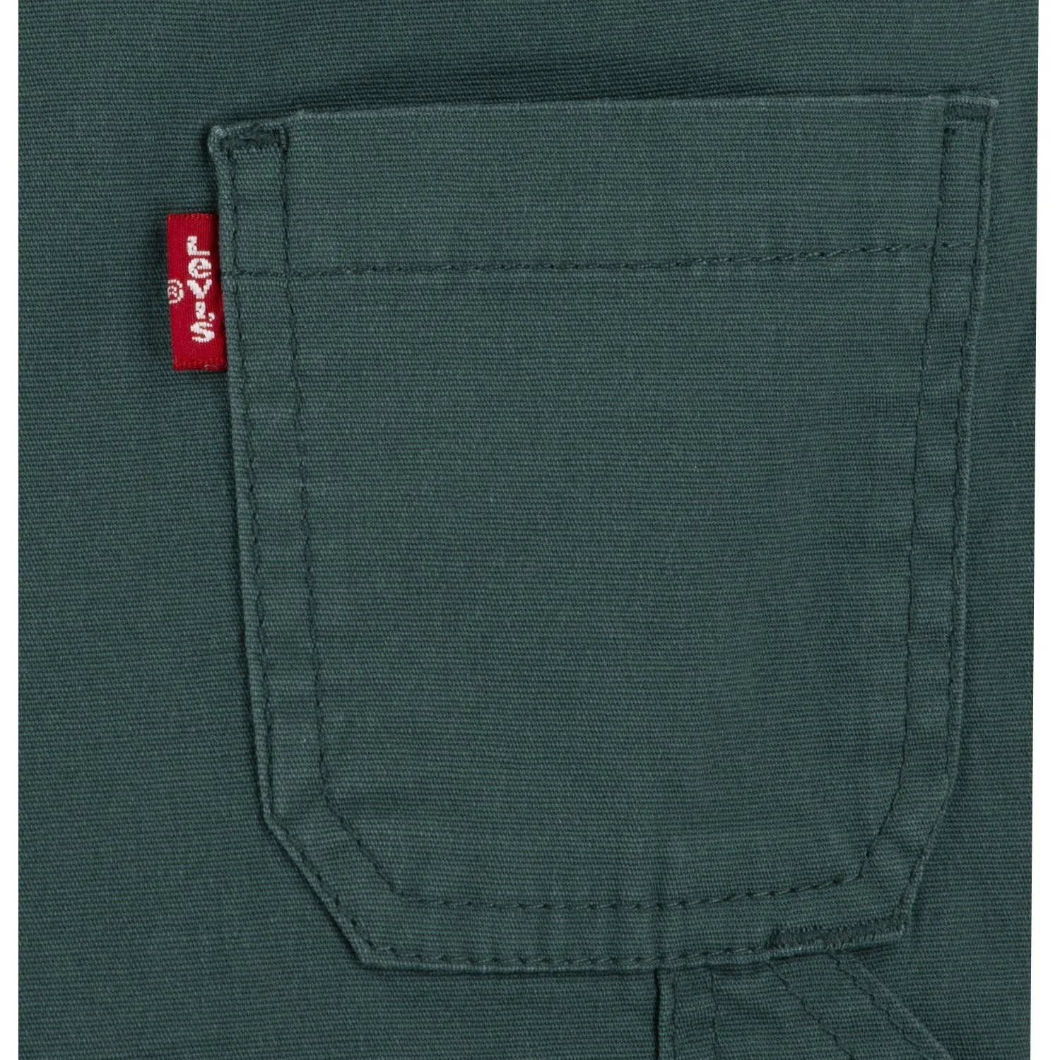 Levi's GREEN Carpenter Overalls