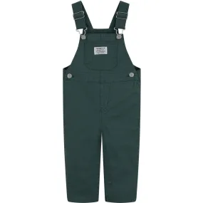 Levi's GREEN Carpenter Overalls