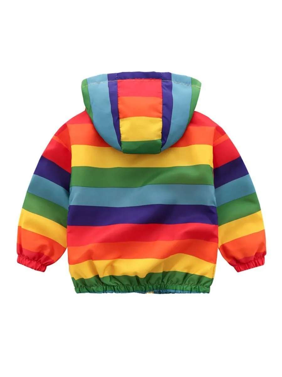 Toddler Boy Rainbow Color Hooded Jacket